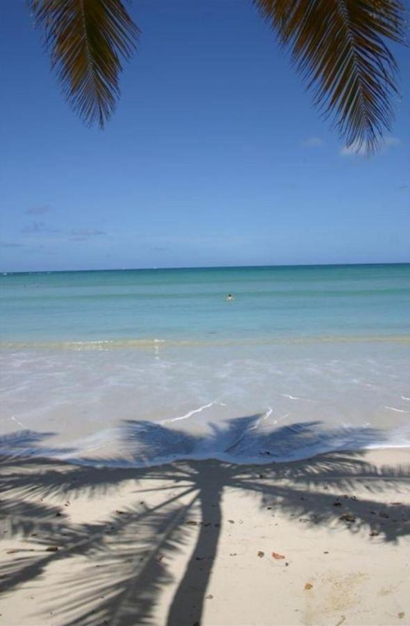 T2 Les Pieds Dans L'Eau Face A La Mer Des Caraibes Sainte Luce - Trois Rivieres Buitenkant foto