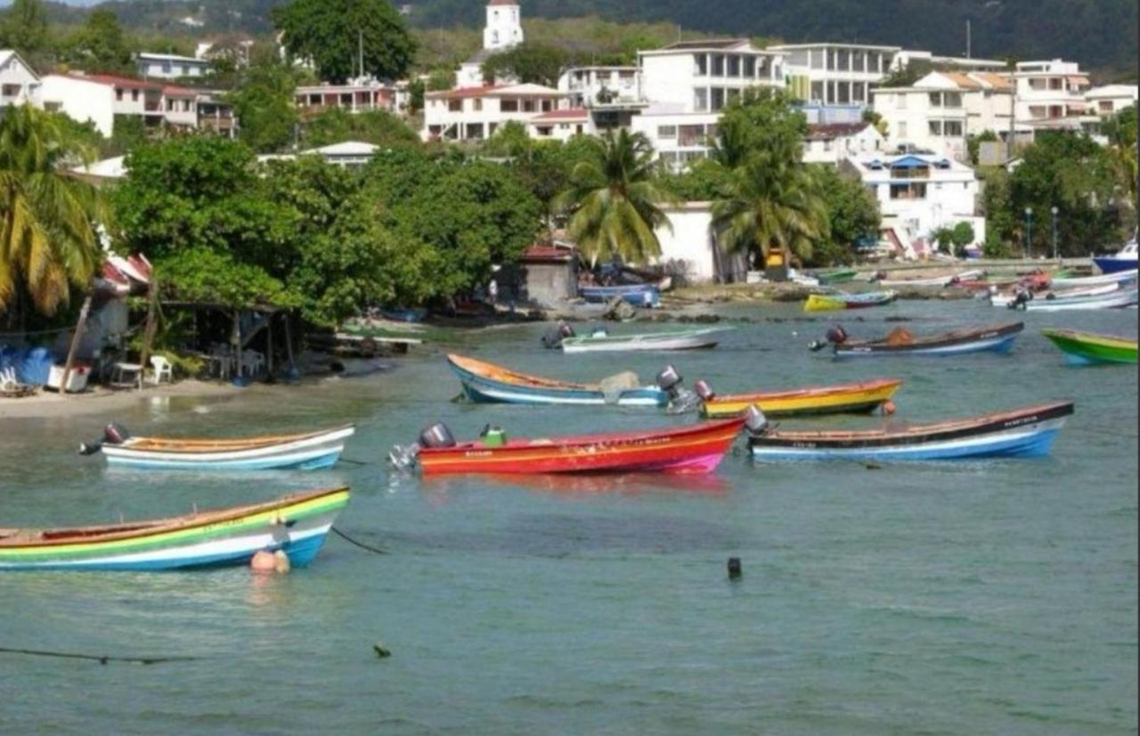 T2 Les Pieds Dans L'Eau Face A La Mer Des Caraibes Sainte Luce - Trois Rivieres Buitenkant foto