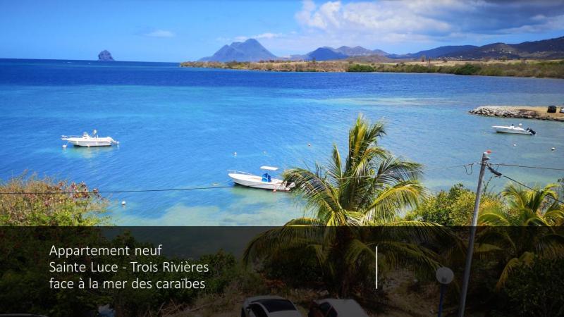 T2 Les Pieds Dans L'Eau Face A La Mer Des Caraibes Sainte Luce - Trois Rivieres Buitenkant foto